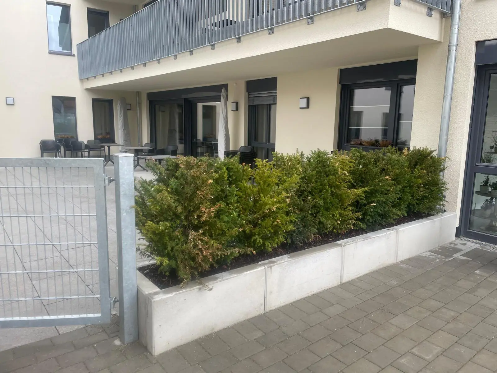 Heckenschnitt